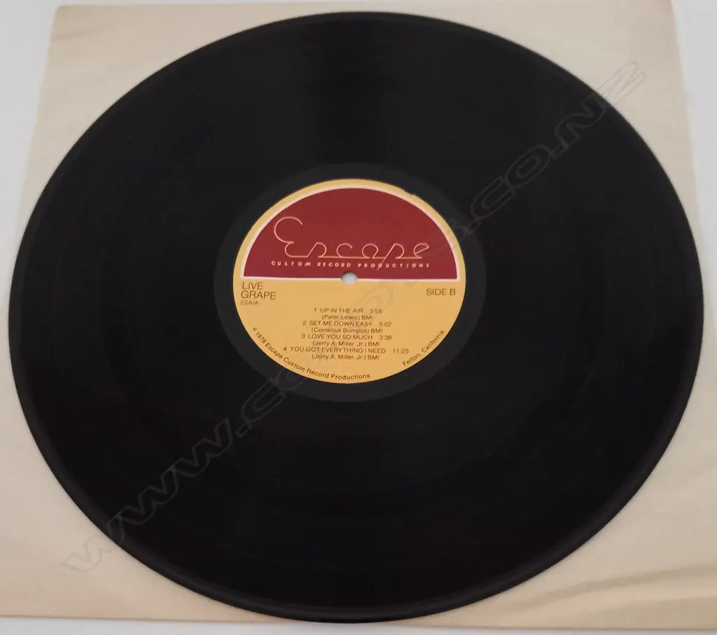Moby Grape, Live Grape Image 1++